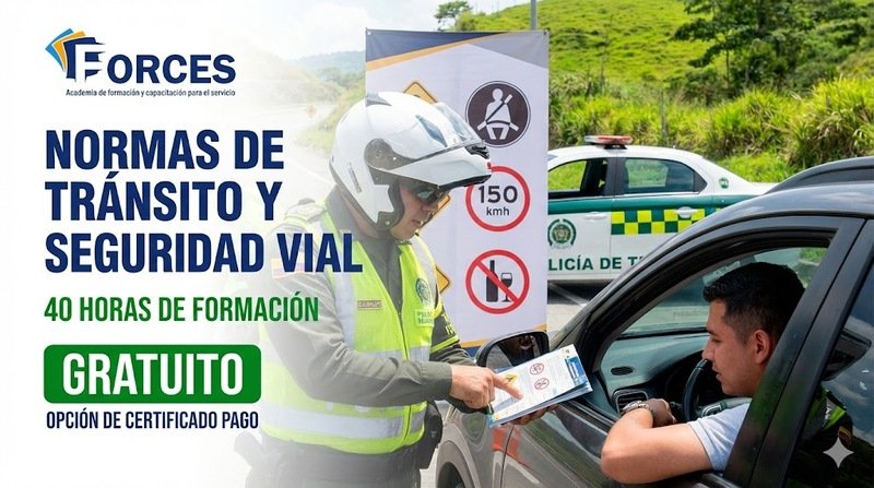 NORMAS DE TRANSITO Y SEGURIDAD VIAL